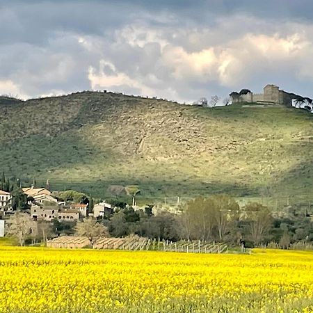Private Stone Cottage With Starlink & Lake View Tuoro sul Trasimeno Εξωτερικό φωτογραφία