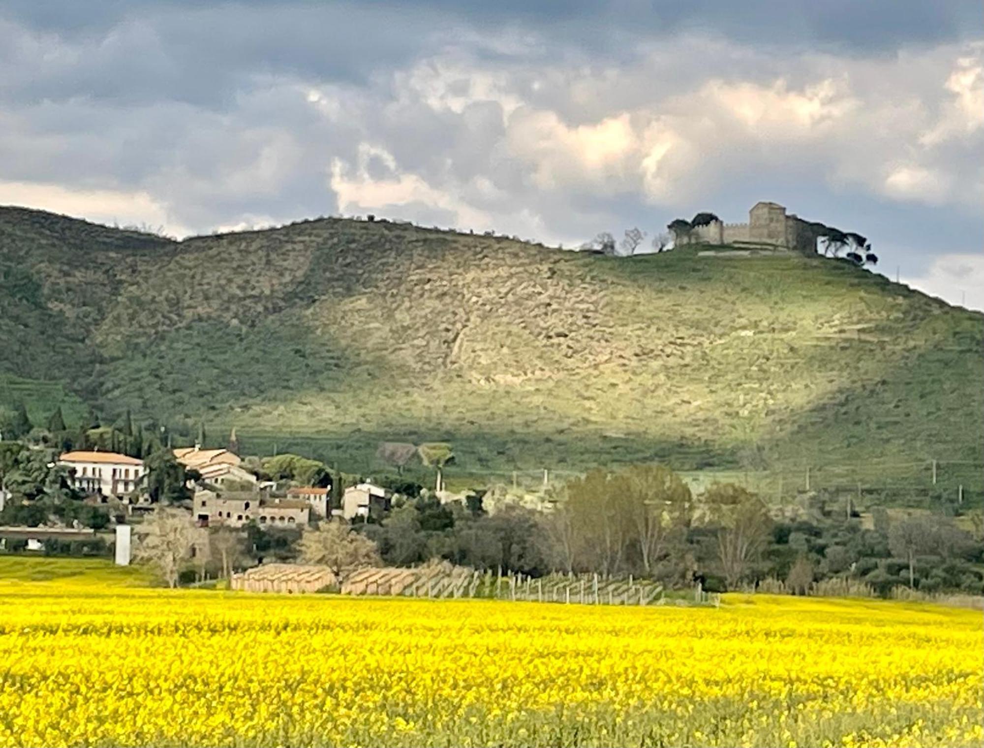 Private Stone Cottage With Starlink & Lake View Tuoro sul Trasimeno Εξωτερικό φωτογραφία